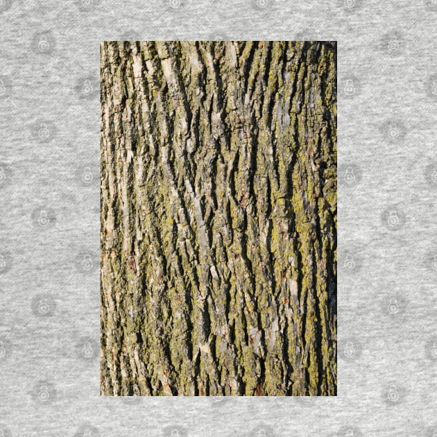 Tree Bark, Wood Grain for a Rustic Look by Tenpmcreations